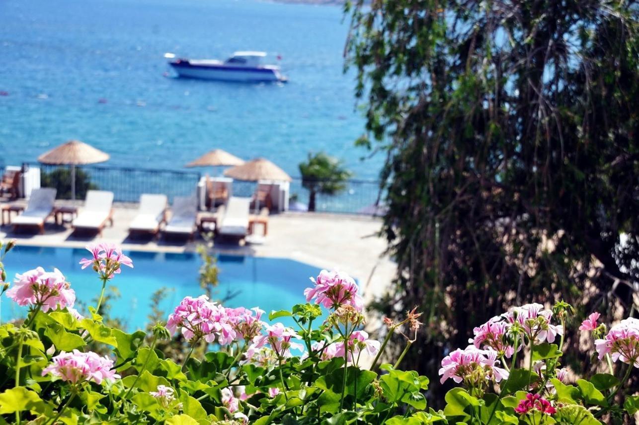 Omar Hotel & Suites Torba Zewnętrze zdjęcie